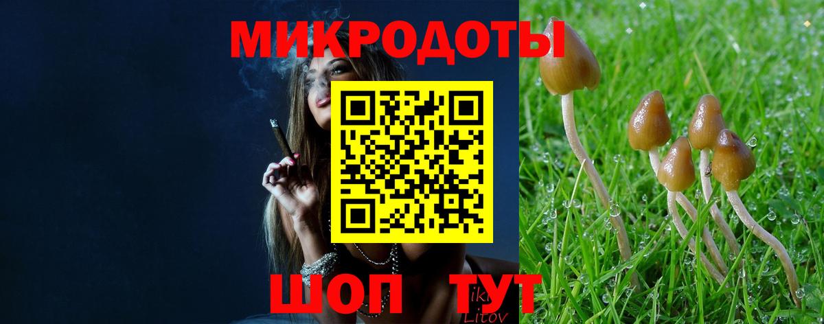 Псилоцибиновые грибы Cubensis Волжск