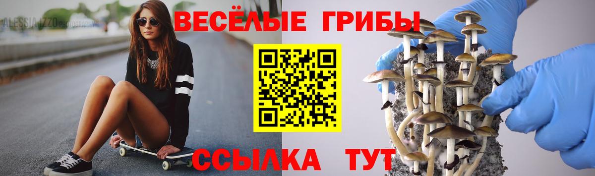 Волжск  Псилоцибиновые грибы Psilocybine cubensis  Псилоцибиновые грибы прущие грибы  Вход с VPN 